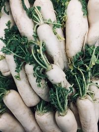 High angle view of radish in market