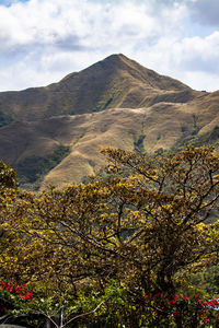 nature