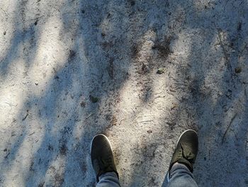 Low section of person standing on land