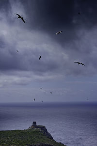 Seagulls flying over sea against sky