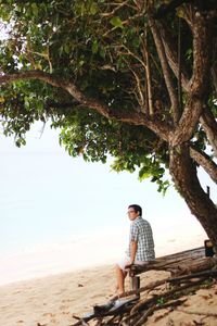 Boy standing on tree at beach against sky
