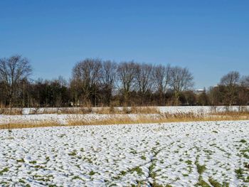 Scenic view of field against clear sky during winter