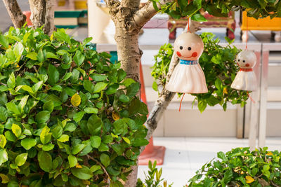 Stuffed toy hanging on plant