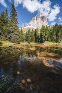 Scenic view of lake and trees against sky