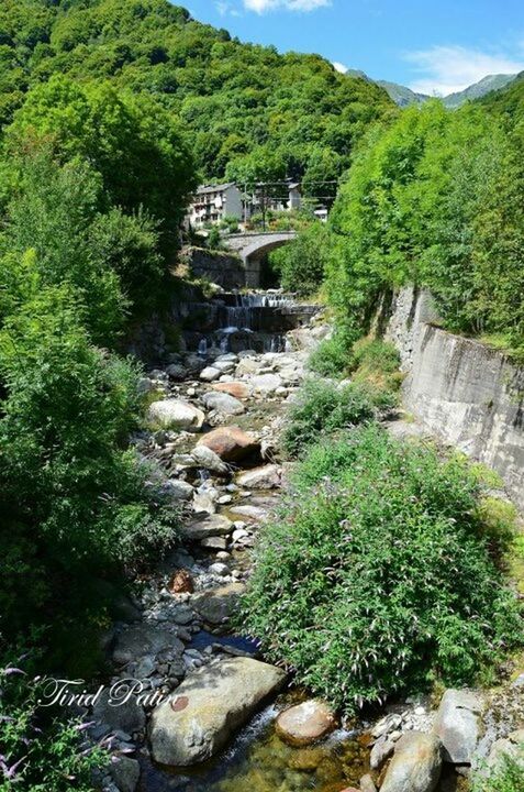 water, tree, rock - object, tranquil scene, scenics, tranquility, stream, beauty in nature, nature, green color, plant, rock formation, growth, river, forest, rock, mountain, landscape, high angle view, flowing water