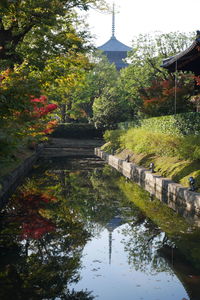 Scenic view of lake by trees in park