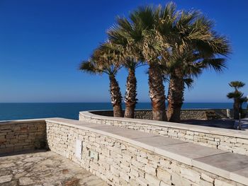 Palm trees by sea against clear blue sky