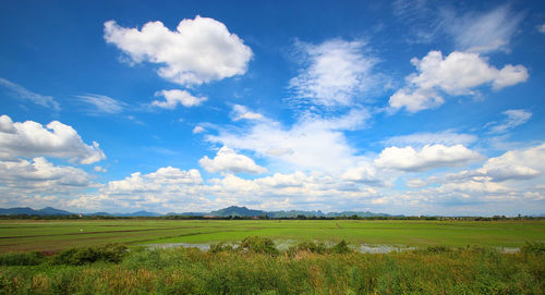 Scenic view of field against sky