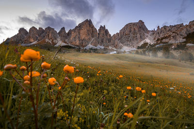 A beautiful morning in the dolomites