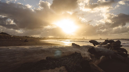 Driftwood on beach against sky during sunset