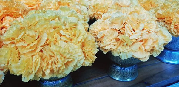 High angle view of yellow flowering plant on table