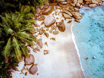 High angle view of rocks by sea, couple on the beach seychelles 