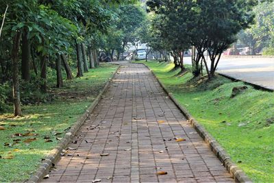 Footpath amidst trees in park