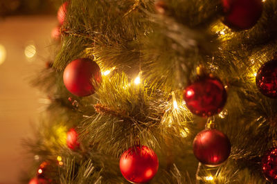 Close-up of christmas tree