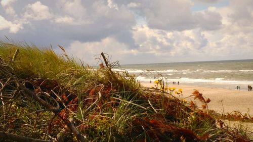 Scenic view of beach against sky
