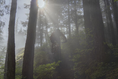 Man amidst trees in forest