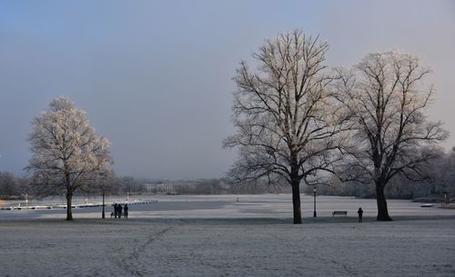 Bare trees on snow covered landscape against sky