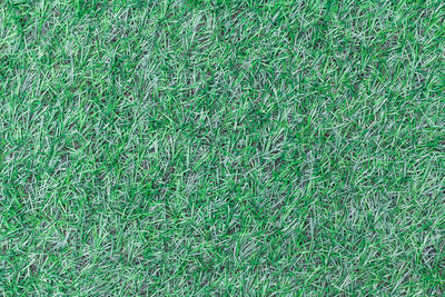 Full frame shot of grass on field