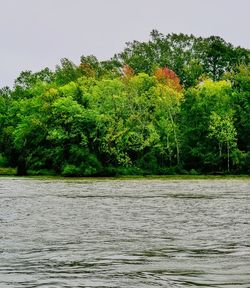 Scenic view of river by trees against sky