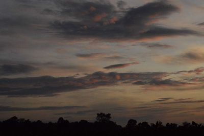 Low angle view of silhouette trees against romantic sky