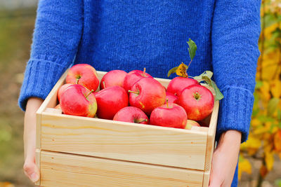 Midsection of woman holding strawberries in box