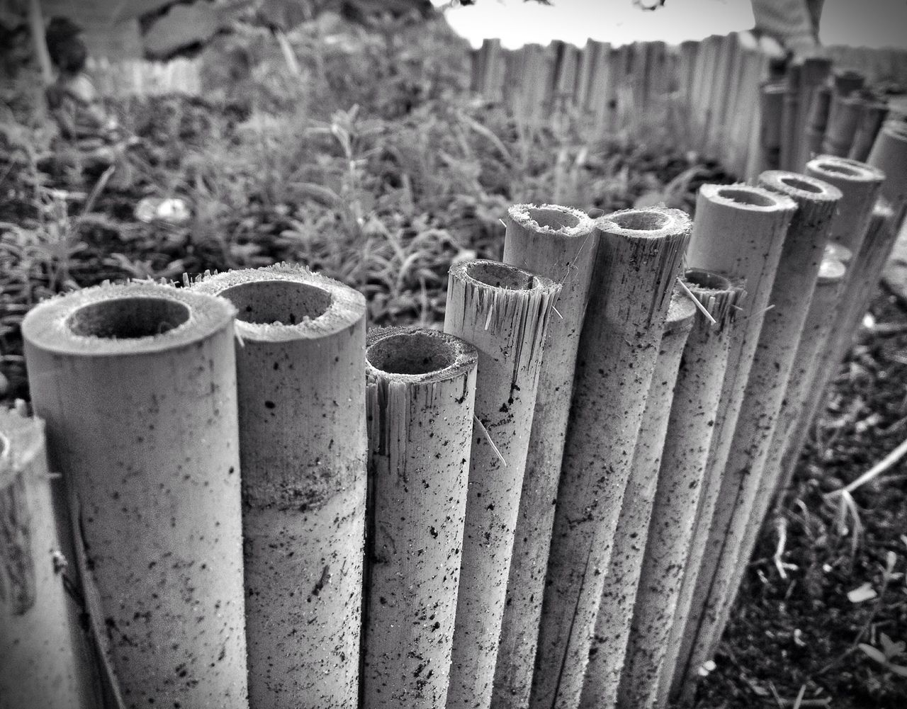 close-up, metal, wood - material, wooden, grass, protection, focus on foreground, metallic, field, fence, day, rusty, outdoors, no people, still life, safety, side by side, container, in a row, wood