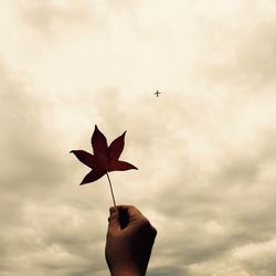 Low angle view of cropped hand against cloudy sky