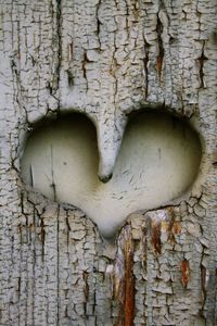 Full frame shot of weathered tree trunk