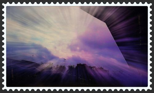 Low angle view of trees against sky