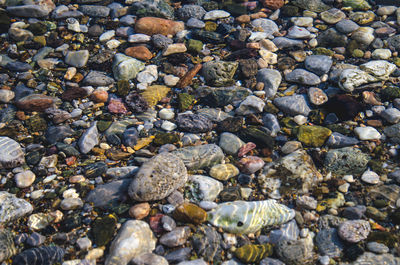 High angle view of pebbles underwater