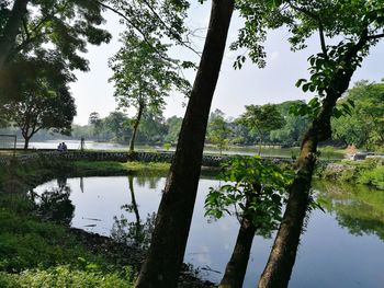 Reflection of trees in lake against sky