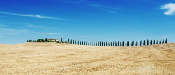 Scenic view of beach against blue sky