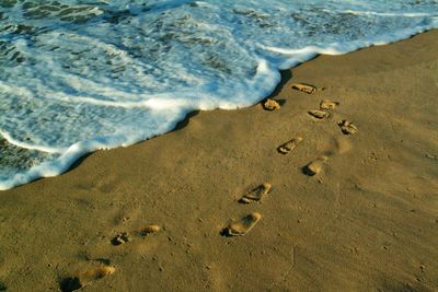 High angle view of footprints on beach