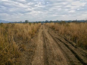 Scenic view of field against sky