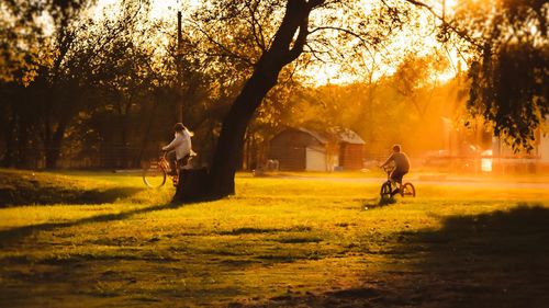 People riding bicycles on grassy field at park