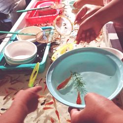 High angle view of fish in bowl