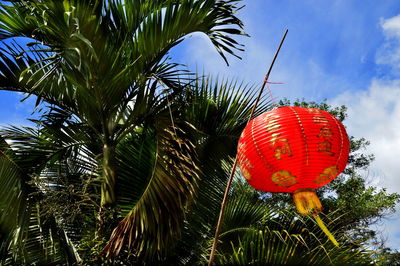 Low angle view of palm tree against sky