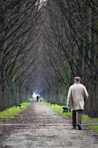 Rear view of man walking on footpath amidst bare trees