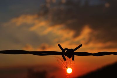 Close-up of silhouette flower against sky during sunset