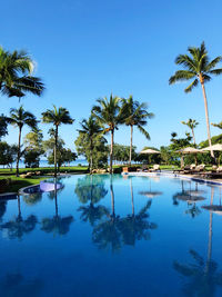 Palm trees by swimming pool against sky