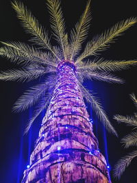 Low angle view of illuminated tree against blue sky