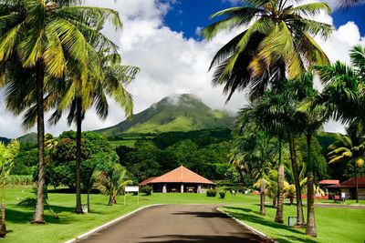 Palm trees in park against cloudy sky