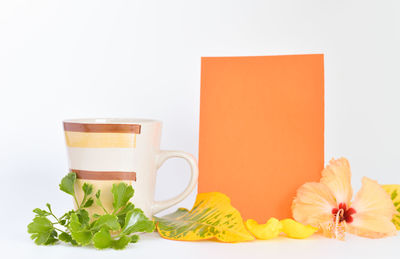 Close-up of orange rose on table against white background