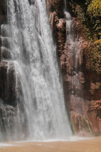 View of waterfall in forest