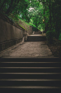 Low angle view of steps amidst trees in park