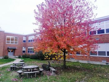 View of building with trees in foreground