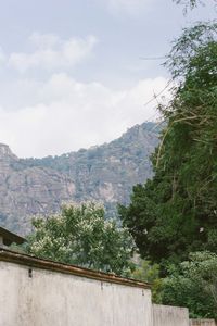 Low angle view of trees and mountain against sky