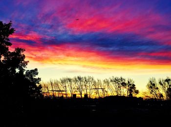 Silhouette of trees at sunset