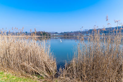 Scenic view of lake against clear blue sky