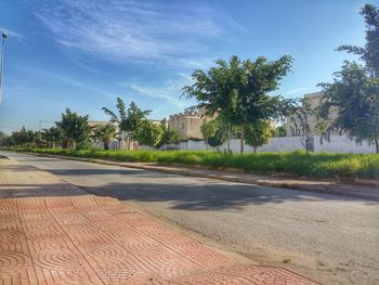 Road by palm trees against sky